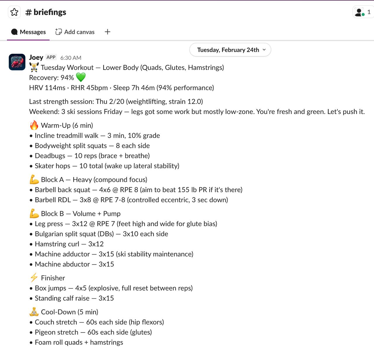 Joey workout briefing on Slack