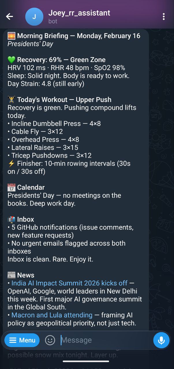 Joey morning briefing on Telegram